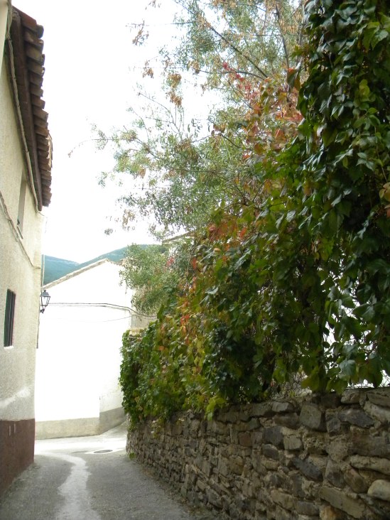 6 rua 2