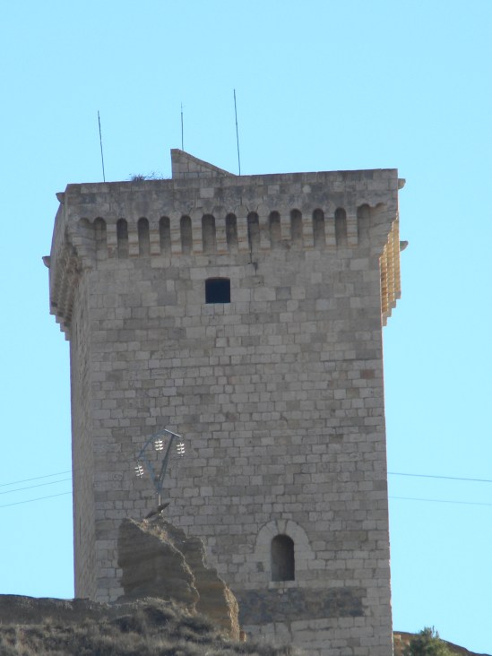 20 Torre