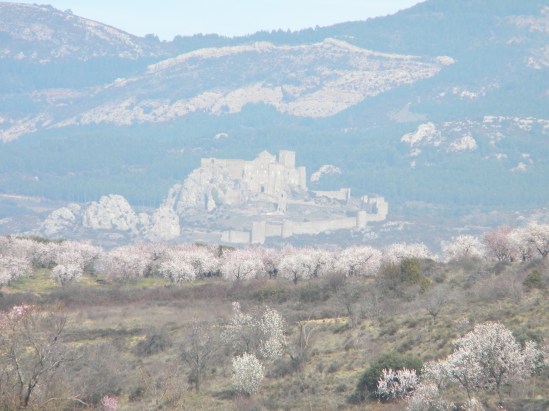 7 Loarre