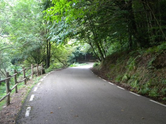 59 Curvas da Floresta