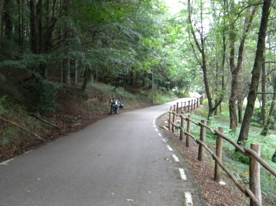 60 Curvas da floresta 2
